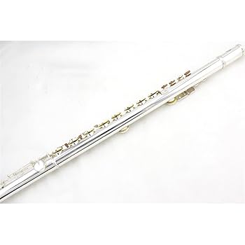 アルトフルート Amazon.co.jp: フルート 銀メッキアルトフルートGキー
